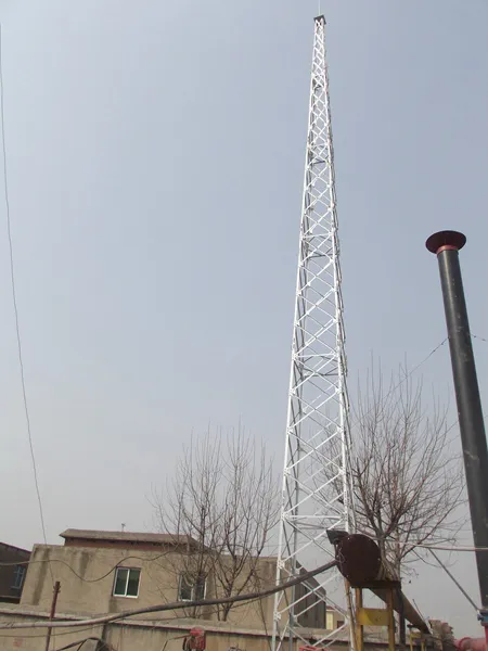 避雷塔厂家还需要吗